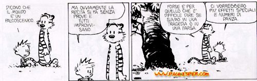 una vignetta di Calvin e Hobbes